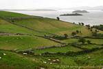 Isole di Lough Corrib a Cornamona, Connemara, Irlanda.