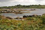 Paesaggio verso Carna, Connemara, Irlanda.