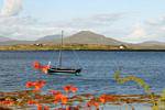 Hooker attesa Regata, Roundstone, Connemara Galway, Irlanda.