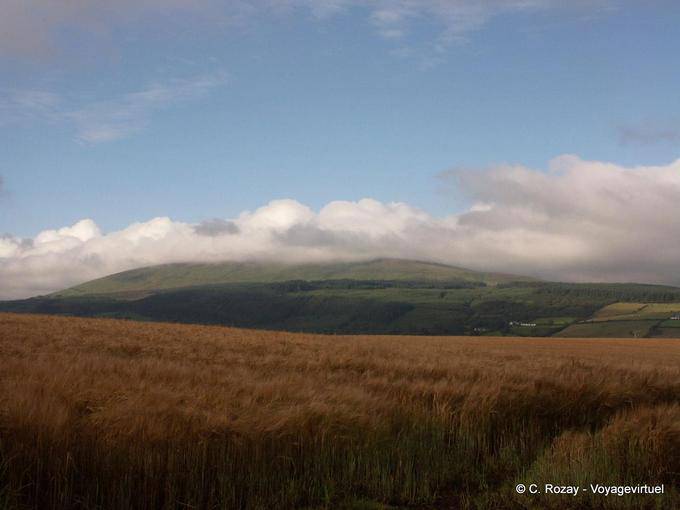 Paesaggio irlandese Contae Aontroma Antrim - Irlanda de Nord