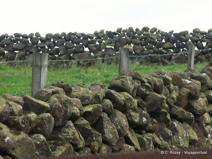 Muro di pietra, tipico di Ulster paesaggio, i pascoli di separazione, Antrim Coast - Irlanda de Nord