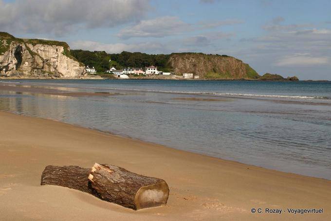 Driftwood sulla sabbia di fronte a Port Braddan, White Park Bay - Irlanda de Nord