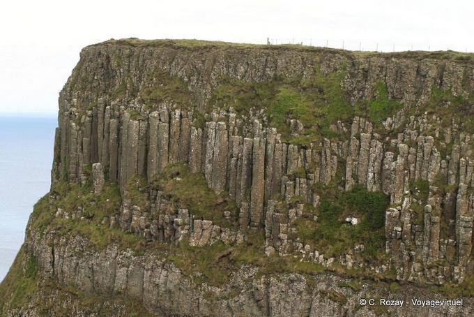 Canne d'organo di basalto sull'altopiano Antrim, Giants Causeway - Irlanda de Nord