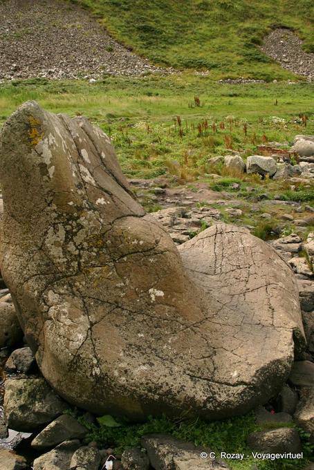 Blocco di avvio, la pietra del Gigante alla forma intricata, Giants Causeway - Irlanda de Nord