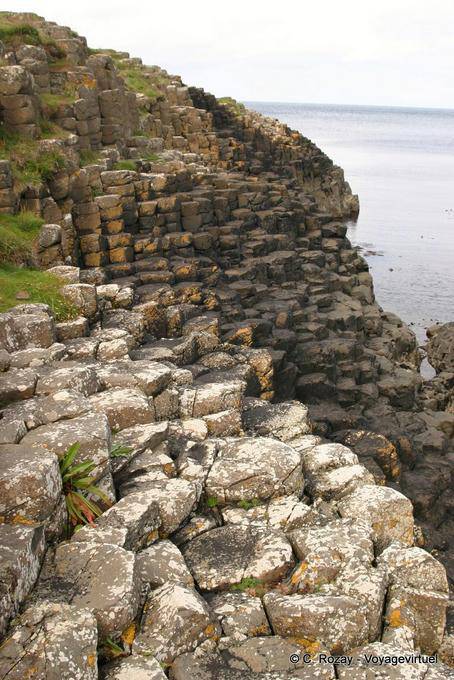 Camini struttura trasversale basalto, Giants Causeway - Irlanda de Nord