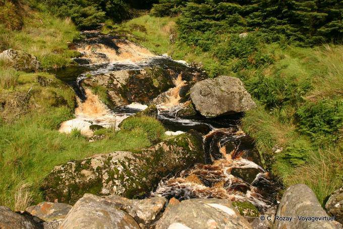 Piccolo ruscello sulla Glenaan Road, Antrim Guiness - Irlanda de Nord