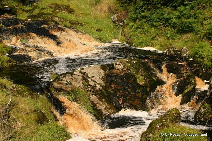 Acqua Stream con il colore della Guinness, Glens of Antrim - Irlanda de Nord