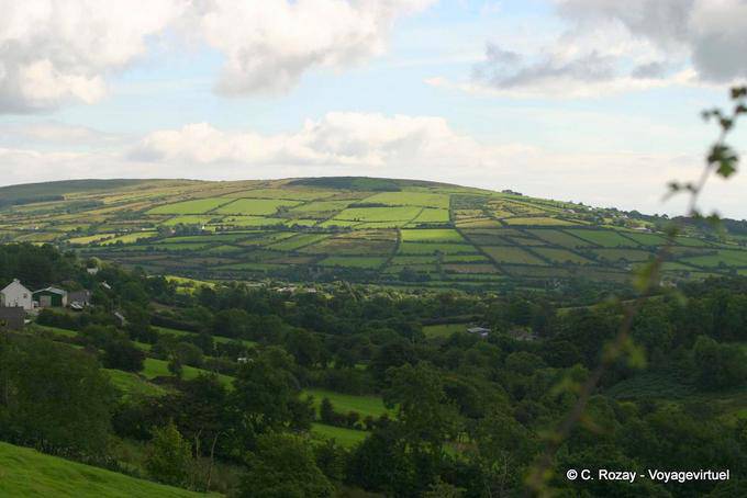 Paesaggio intagliato di boschetti, Antrim - Irlanda de Nord