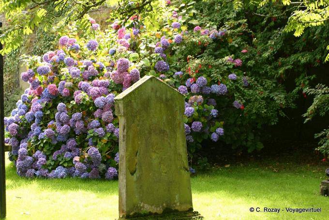 Stele di fronte alle ortensie chiesa di St Augustines, Derry - Irlanda de Nord