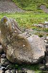 Blocco di avvio, la pietra del Gigante alla forma intricata, Giants Causeway, Irlanda de Nord.