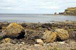 Mucchio di rocce sulla riva, Giants Causeway, Irlanda de Nord.