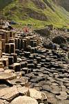 Appoggiare sui poligoni di basalto, Giants Causeway, Irlanda de Nord.