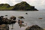 Fraiche nuoto, Giants Causeway, Irlanda de Nord.