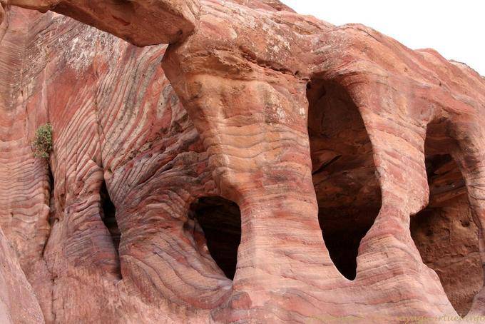 Rosa caratteristico colore delle rocce sedimentarie di Petra, Al-Khubta - Giordania