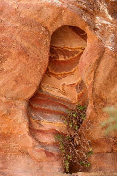 Arenaria Keyhole, Petra Zib Attuf - Giordania