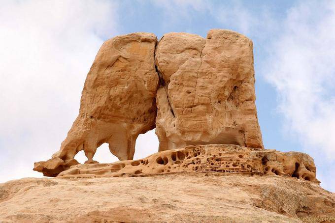 The Elephant roccia vicino Um Sayhoun, Petra - Giordania
