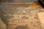 Lato destro del mosaico, Chiesa della mappa, Madaba, Giordania.