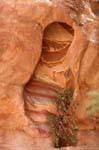 Arenaria Keyhole, Petra Zib Attuf, Giordania.