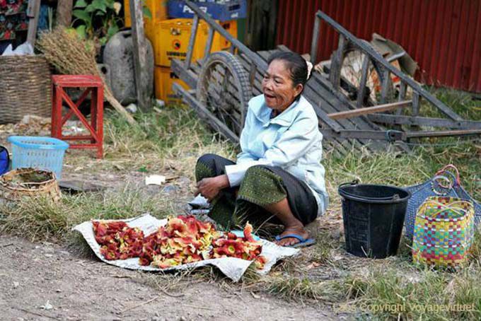 Fiori di ibisco in Market Street, Khong Island, Laos