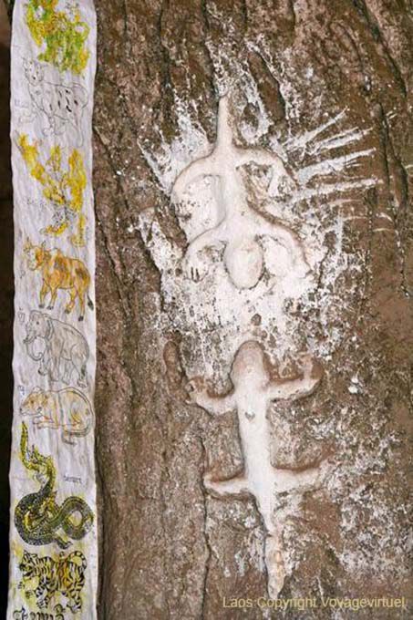 Salamandre, Grotta Tham Phum, Pak Ou, Laos