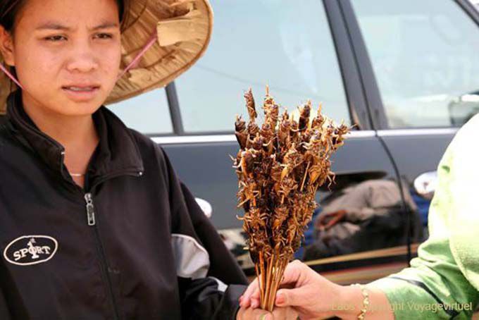 Donna che vende cavallette fritte, Vat Phou, Laos