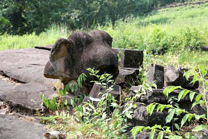 Elephant rimane, Wat Phou, Laos