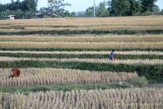 Geometria Peasant, Xieng Khouang, Laos