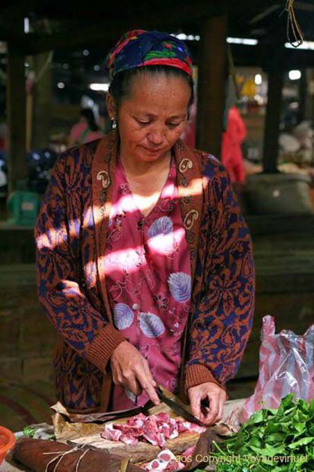 Laos al taglio, Xieng Khouang, Laos
