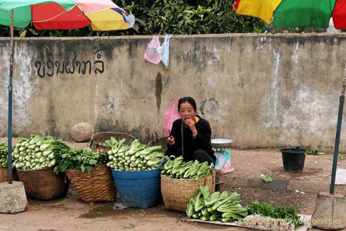 Buon appetito, Xieng Khouang, Laos