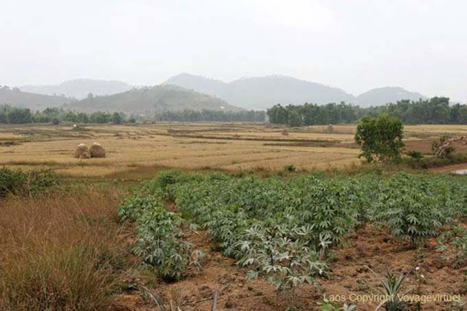Paesaggio e le montagne, Xieng Khouang, Laos