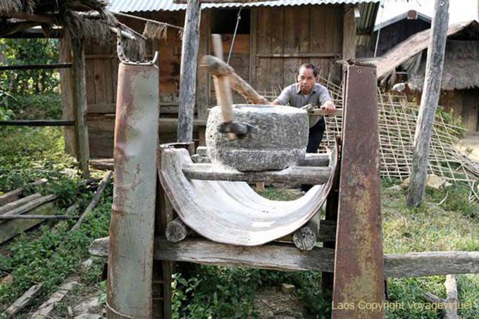 Macinazione del grano a mano, Hmong, Xieng Khouang, Laos