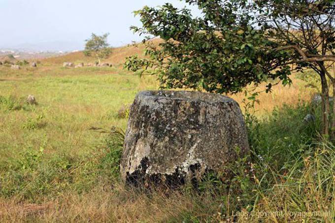 Sotto l'albero, Piana delle Giare Xieng Khouang, Laos