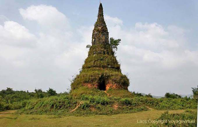 Stupa coperto di vegetazione, Xieng Khouang Old Capital, Laos