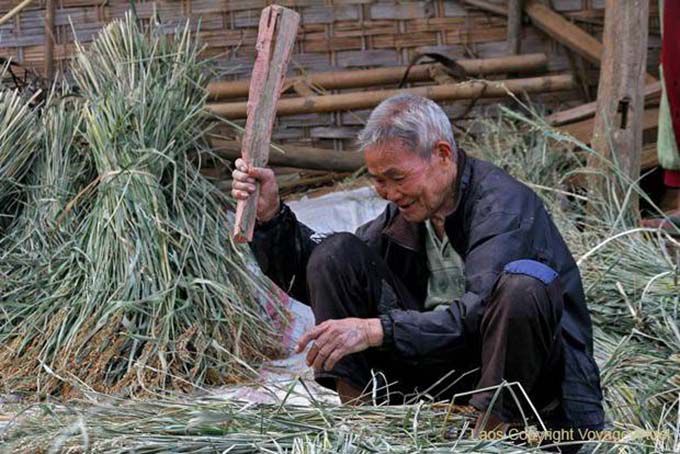 Crop trebbiatura Thai Dam, Xieng Khouang, Laos