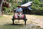 Carrier Bambino, Khone Island, Laos.