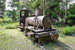 Treno del vapore coloniale Locomotive Khone Island, Laos.