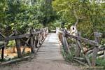 Ponte di legno sul sentiero di Li Phi cade, Khone Island, Laos.