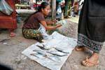Il pesce fresco al mercato, Khong Island, Laos.