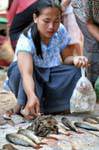 Rane, Khong Island, Laos.