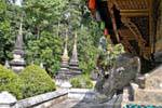 Elefante, specchio e stupa, Wat Xieng Thong, Luang Prabang, Laos.