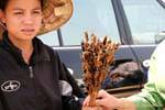 Donna che vende cavallette fritte, Vat Phou, Laos.
