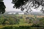 Panorama dal santuario della pianura, Vat Phou, Laos.