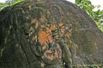 Elefante in basso rilievo sulla roccia Wat Phou, Laos.