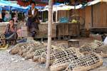 Fornitori mercato hog Phonsavan, Xieng Khouang, Laos.