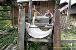 Macinazione del grano a mano, Hmong, Xieng Khouang, Laos.