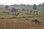 Panorama della Piana delle Giare, Xieng Khouang, Laos.