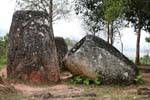 Vasi camino, Piana delle Giare Xieng Khouang, Laos.