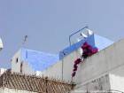 Blu-bianco, terrazza Asilah, Marocco.