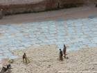 Asciugatura della lana quartiere conciatore di pelle e di pecora, Fes, Marocco.