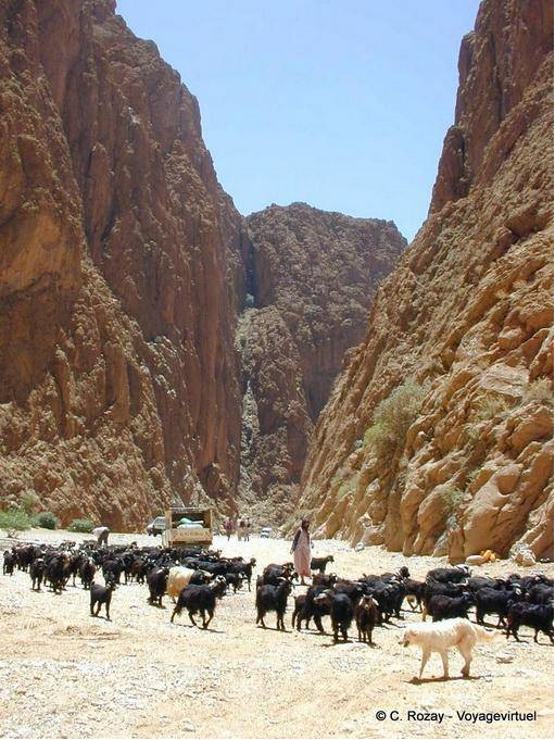Gole di Todra (Todgha) a Tinghir - Marocco